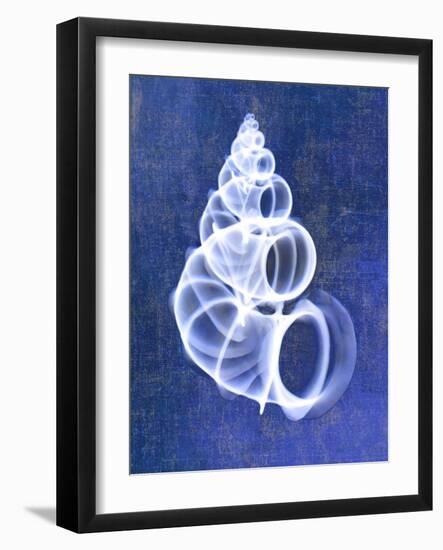 Wentletrap Shell (indigo)-Bert Myers-Framed Art Print