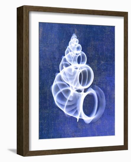 Wentletrap Shell (indigo)-Bert Myers-Framed Art Print