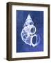 Wentletrap Shell (indigo)-Bert Myers-Framed Giclee Print