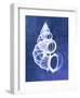 Wentletrap Shell (indigo)-Bert Myers-Framed Giclee Print