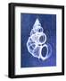 Wentletrap Shell (indigo)-Bert Myers-Framed Art Print