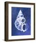 Wentletrap Shell (indigo)-Bert Myers-Framed Art Print