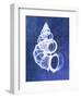 Wentletrap Shell (indigo)-Bert Myers-Framed Art Print