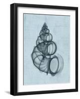 Wentletrap Shell (light blue)-Bert Myers-Framed Art Print
