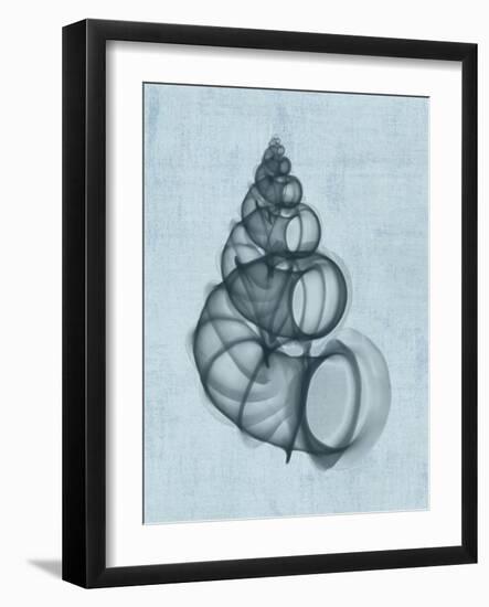 Wentletrap Shell (light blue)-Bert Myers-Framed Art Print