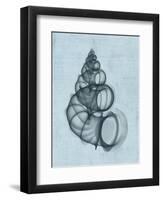 Wentletrap Shell (light blue)-Bert Myers-Framed Giclee Print