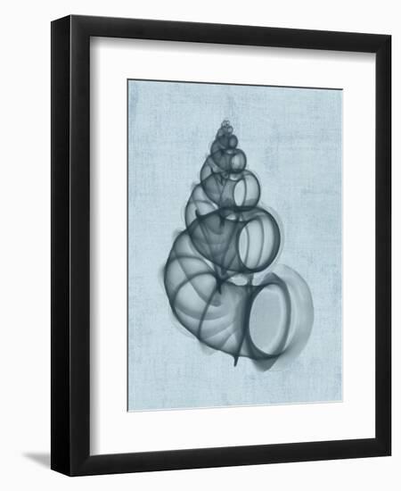 Wentletrap Shell (light blue)-Bert Myers-Framed Art Print