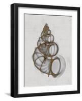 Wentletrap Shell-Bert Myers-Framed Art Print