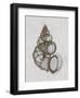 Wentletrap Shell-Bert Myers-Framed Art Print