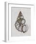 Wentletrap Shell-Bert Myers-Framed Art Print