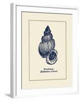 Wentletrap Shell-Gregory Gorham-Framed Art Print