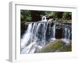 Wentworth Falls, Blue Mountains, New South Wales (Nsw), Australia-Robert Francis-Framed Photographic Print