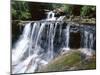 Wentworth Falls, Blue Mountains, New South Wales (Nsw), Australia-Robert Francis-Mounted Photographic Print