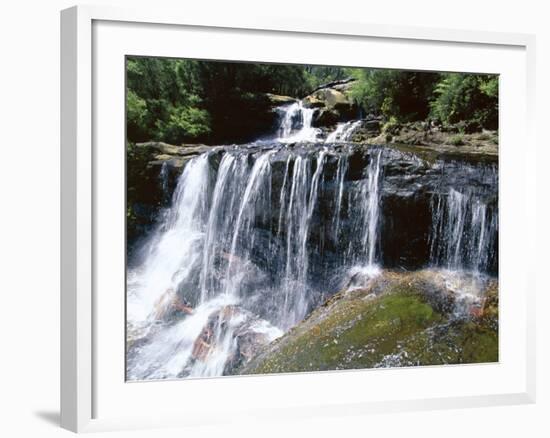 Wentworth Falls, Blue Mountains, New South Wales (Nsw), Australia-Robert Francis-Framed Photographic Print