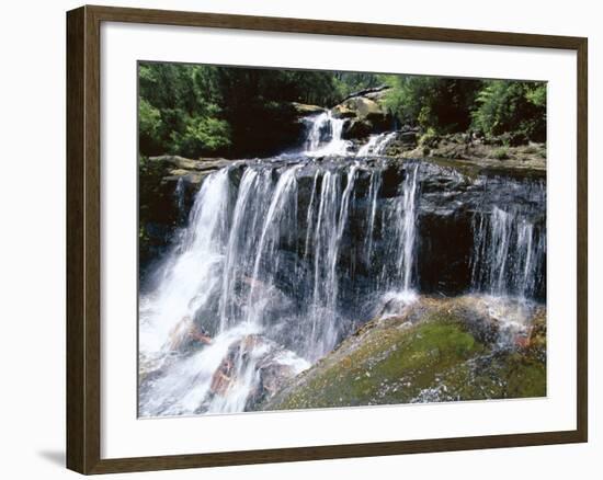 Wentworth Falls, Blue Mountains, New South Wales (Nsw), Australia-Robert Francis-Framed Photographic Print