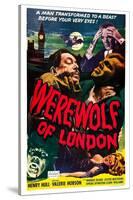 Werewolf of London, Warner Oland, Henry Hull, 1935-null-Stretched Canvas