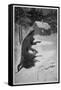 Werewolf Returning Home-S.h. Vedder-Framed Stretched Canvas