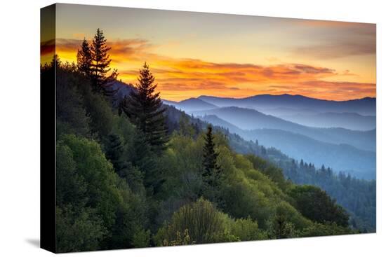 Stretched Canvas Print, , large