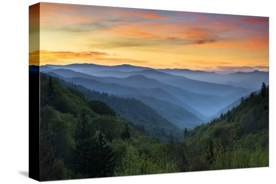 Stretched Canvas Print, , large