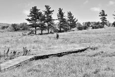 Rural Landscape-WernerL-Photographic Print