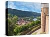 Wertheim Castle, Wertheim, Germany-Miva Stock-Stretched Canvas