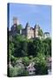 Wertheim Castle, Wertheim, Main Tauber District, Baden Wurttemberg, Germany, Europe-Markus Lange-Stretched Canvas