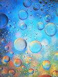 Water Drops-Wes Thompson-Mounted Photographic Print