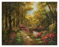 Enchanted Creek II-Wesley-Art Print