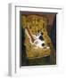 Wesley Reclining, 2003-Margaret Hartnett-Framed Giclee Print