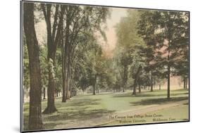 Wesleyan, Middletown, Connecticut-null-Mounted Art Print