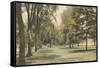 Wesleyan, Middletown, Connecticut-null-Framed Stretched Canvas