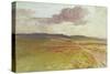Wessex, Nr Maiden Castle-Walter Tyndale-Stretched Canvas