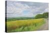 Wessex Ridgeway and Pewsey Downs Beyond, 2011-Peter Breeden-Stretched Canvas