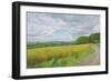 Wessex Ridgeway and Pewsey Downs Beyond, 2011-Peter Breeden-Framed Giclee Print