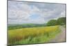 Wessex Ridgeway and Pewsey Downs Beyond, 2011-Peter Breeden-Mounted Giclee Print