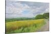 Wessex Ridgeway and Pewsey Downs Beyond, 2011-Peter Breeden-Stretched Canvas