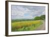 Wessex Ridgeway and Pewsey Downs Beyond, 2011-Peter Breeden-Framed Giclee Print