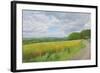 Wessex Ridgeway and Pewsey Downs Beyond, 2011-Peter Breeden-Framed Giclee Print