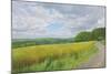 Wessex Ridgeway and Pewsey Downs Beyond, 2011-Peter Breeden-Mounted Giclee Print