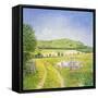 Wessex Sheep-Ditz-Framed Stretched Canvas