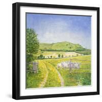 Wessex Sheep-Ditz-Framed Giclee Print