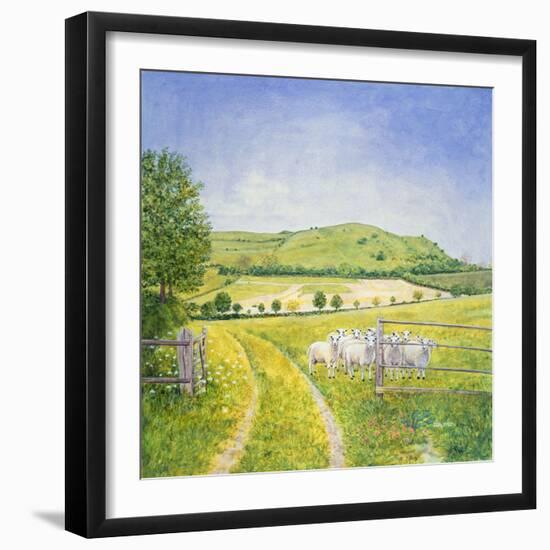 Wessex Sheep-Ditz-Framed Giclee Print