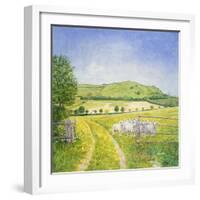 Wessex Sheep-Ditz-Framed Giclee Print