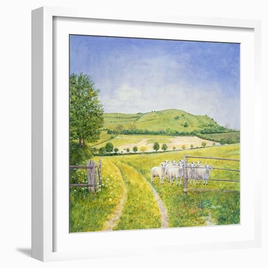 Wessex Sheep-Ditz-Framed Giclee Print