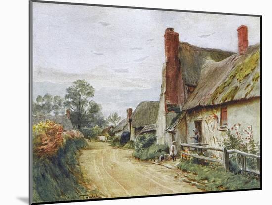 Wessex, Tincleton Cottage-Walter Tyndale-Mounted Art Print