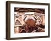 West African Gaboon Viper, Africa-David Northcott-Framed Photographic Print