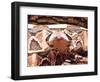 West African Gaboon Viper, Africa-David Northcott-Framed Photographic Print