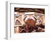 West African Gaboon Viper, Africa-David Northcott-Framed Photographic Print