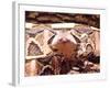 West African Gaboon Viper, Africa-David Northcott-Framed Photographic Print