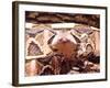 West African Gaboon Viper, Africa-David Northcott-Framed Photographic Print